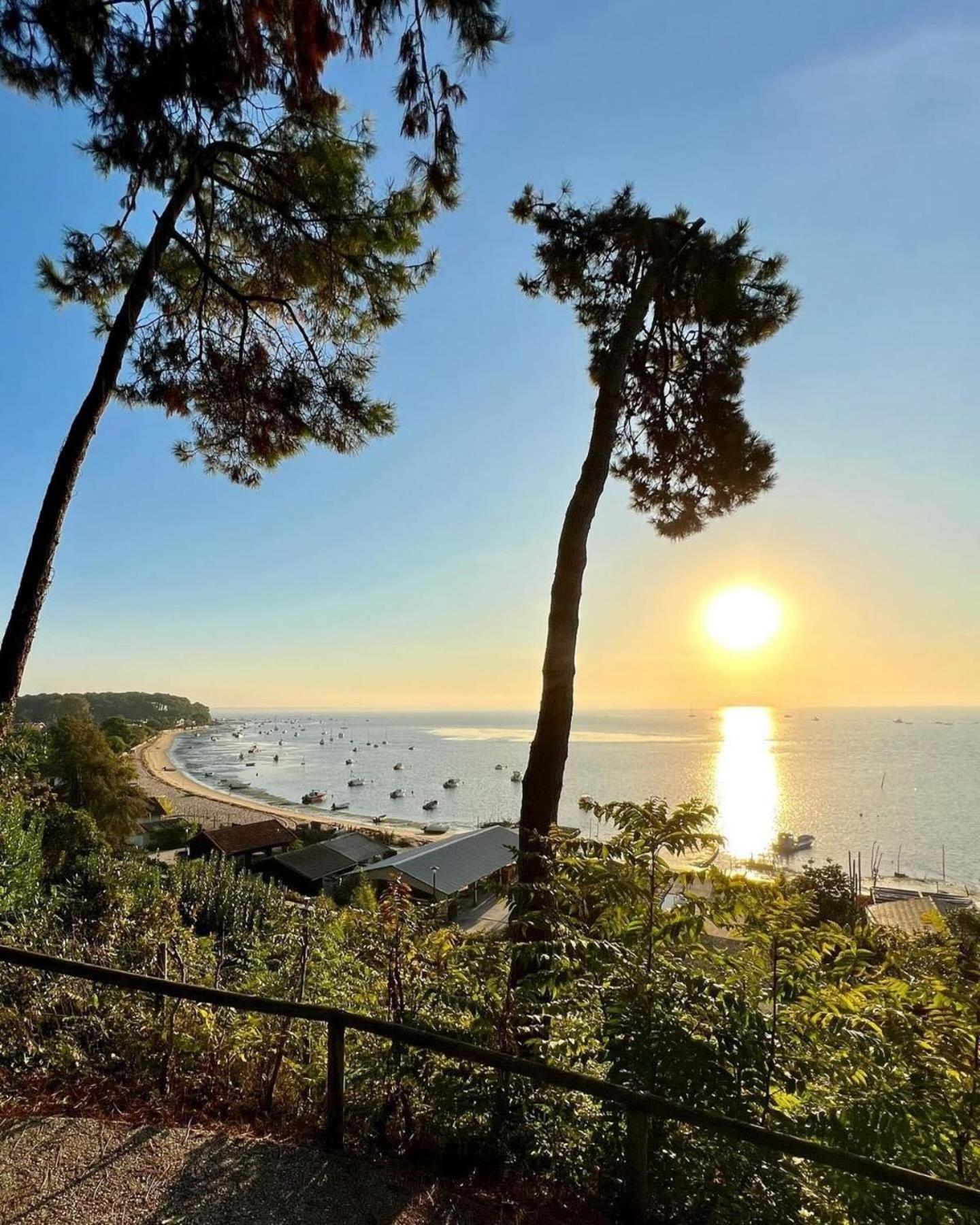 Cocon Entre Presqu'Ile Du Cap Ferret Et Plages Oceanes - Terrasse - 1 Velo Gratuit Ares Exteriér fotografie