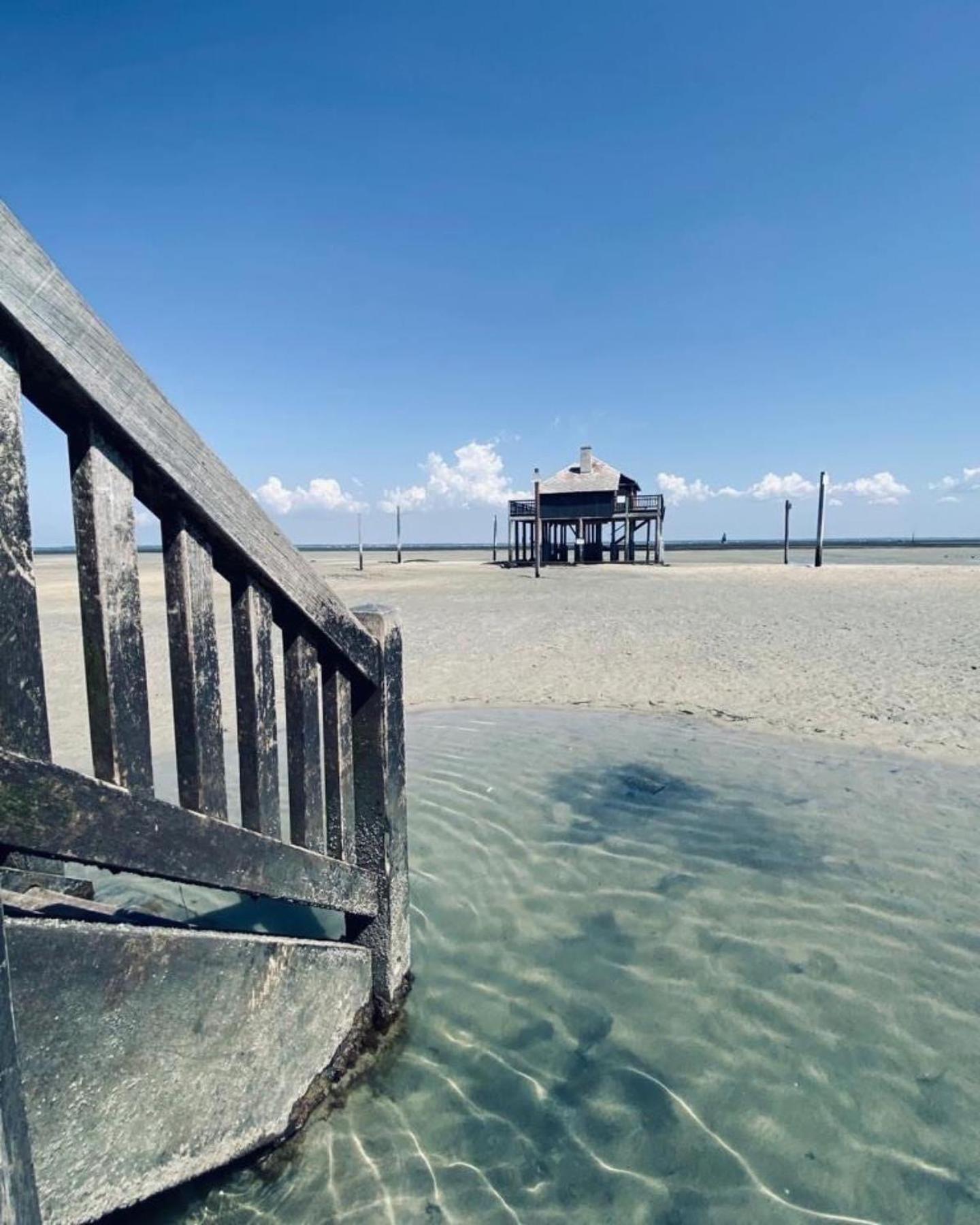 Cocon Entre Presqu'Ile Du Cap Ferret Et Plages Oceanes - Terrasse - 1 Velo Gratuit Ares Exteriér fotografie
