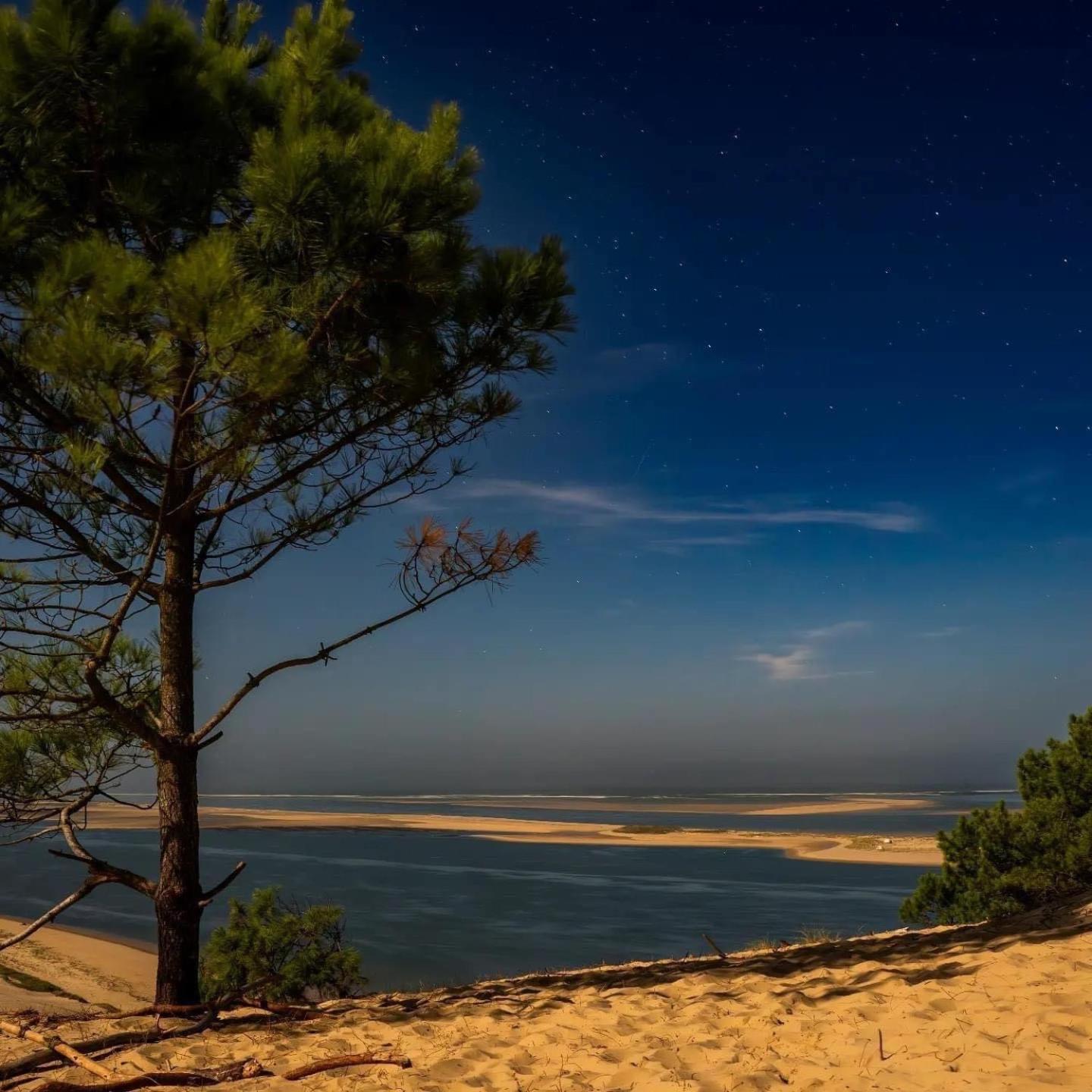 Cocon Entre Presqu'Ile Du Cap Ferret Et Plages Oceanes - Terrasse - 1 Velo Gratuit Ares Exteriér fotografie