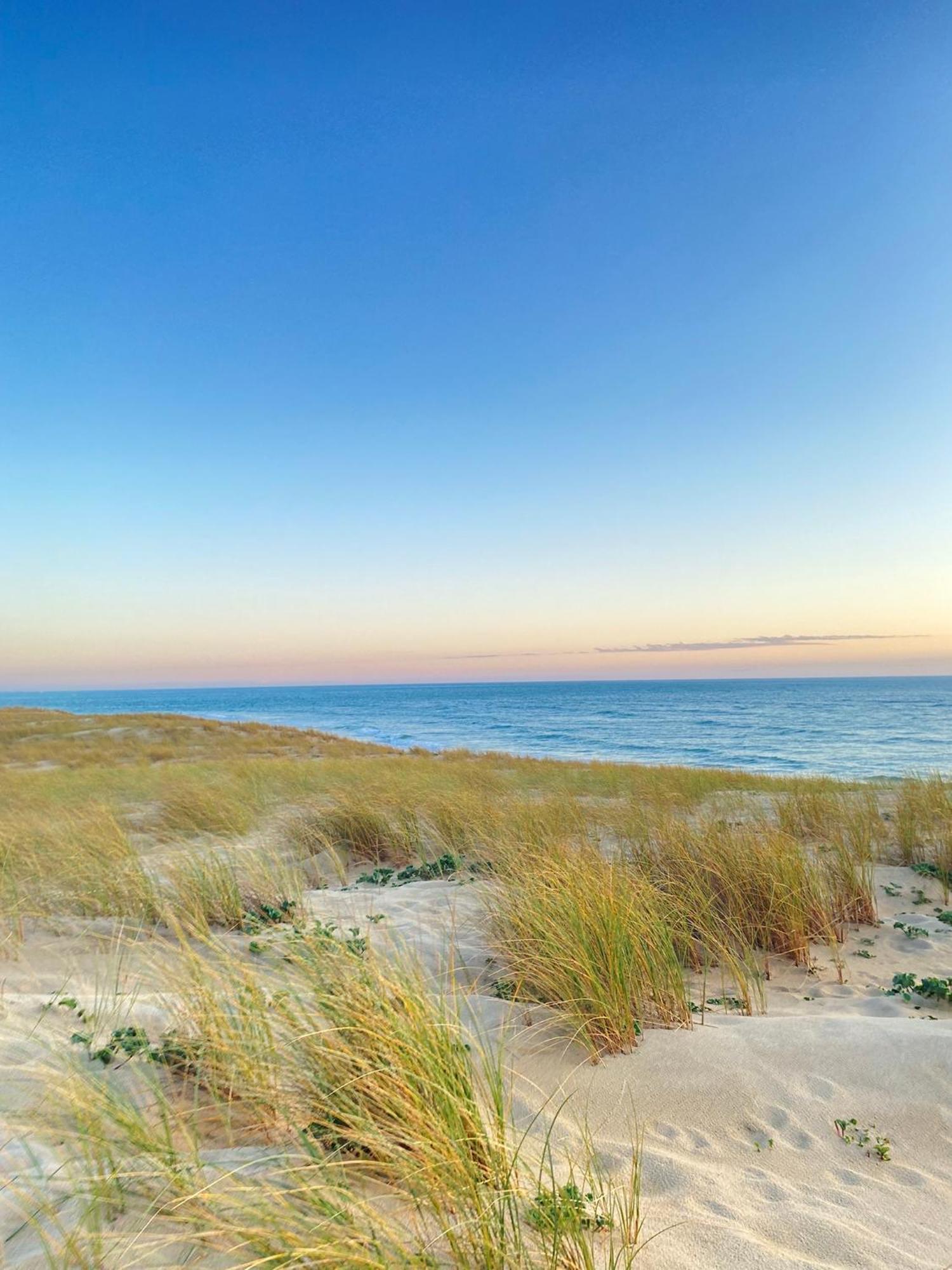 Cocon Entre Presqu'Ile Du Cap Ferret Et Plages Oceanes - Terrasse - 1 Velo Gratuit Ares Exteriér fotografie